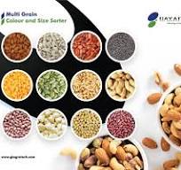 Grain Color Sorter, Grain Color Sorting Machine Manufacturer ...