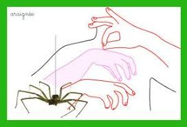 Araignee Langage Des Signes Langue Des Signes Langage Des Signes Bebe