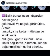 Sude Sasmaz Adli Kullanicinin Balik Burcu Panosundaki Pin Balik Burcu Bilgelik Alintilari Guzel Soz