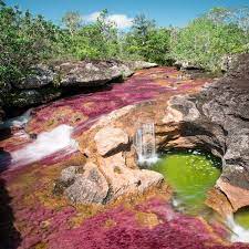 Desde villavicencio 2 días 699.000 pesos 3 días 999.000 pesos 4 días 1'375.000 pesos 5 días 1'750.000 pesos. Como Llegar A Cano Cristales La Mejor Opcion En 2019 Es