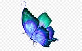 Black and white floral banner monarch migrations athlete isolated black background seamless black background with the pattern white camomile speed & sports sports swimming beautiful. Watercolor Butterfly Background Clipart Butterfly Illustration Wing Transparent Clip Art
