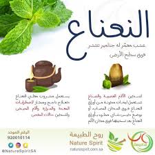 فوائد النعناع المغلي فوائد مدهشة للنعناع ستجعلك تتناوله كل يوم organic health health fitness nutrition herbs for health