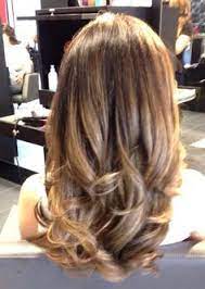 Honey Brown Hair Blonde Highlights Brown Hair With Blonde Highlights Honey Brown Hair
