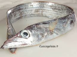 Il pesce spada è simile al tonno ed è un pesce che popola il mediterraneo soprattutto nelle zone meridionali della nostra penisola. Pesce Sciabola Un Pesce Non Fotogenico Ma Buonissimo E Benefico