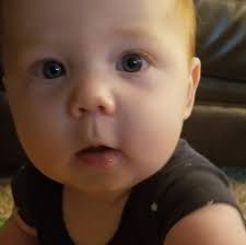 Egg Harbor Books and BookNook Gardens Publishing