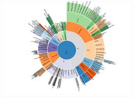 Zoomable Sunburst With Labels Issue Stack Overflow