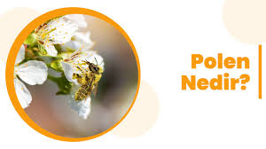Polska) formellt republiken polen (polska: Polen