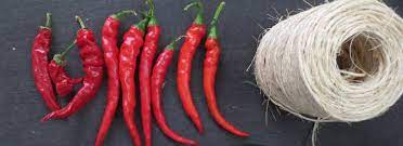 Maybe you would like to learn more about one of these? Come Conservare I Peperoncini Misya Info