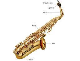 So, really how long to learn saxophone? Is Saxophone Hard To Learn Here S The Answer And Advice