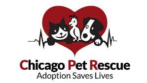All proceeds go to millie's mission, a fund created to pay for the veterinary costs of rescued mill dogs. Pets For Adoption At Chicago Pet Rescue In Chicago Il Petfinder