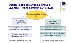 Je pense (présent) qu'il dort mieux (présent), je pense (présent) qu'il dormait mieux (imparfait), je pense (présent) qu'il. Anglais Pour Le Bac Tout Pour Preparer L Epreuve Du Bac En Anglais