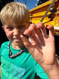 Emily Carden (@emily_ourdailybread) • Instagram photos and videos