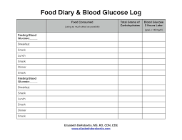 Diabetes Food Log Printable Room Surf Com