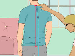 Torso definition, the trunk of the human body. 3 Easy Ways To Measure Torso Length Wikihow