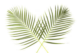 The feast commemorates the triumphant entry of jesus into. Palm Sunday In Germany