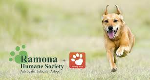 We did not find results for: Petco Love Lost Humane Society Losing A Pet Petco