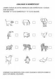 Ficha Animales Herbívoros Carnívoros Y Omnívoros Para Colorear