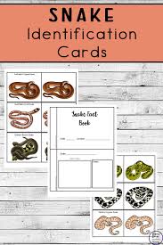 Snake Identification Cards Simple Living Creative Learning