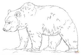 Disegno Di Orso Grizzly Da Colorare Disegni Da Colorare E Stampare