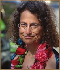 Updates from the Executive Director