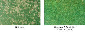Headway g granular fungicide can be used on most turfgrass for the treatment and control of fungal diseases. Headway G Fungicide Greencast Syngenta
