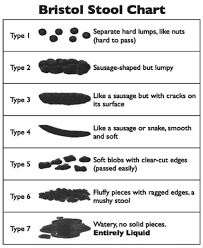 Bristol Stool Chart 15 16 Download Scientific Diagram