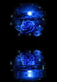 Check spelling or type a new query. Flower Blue Iphone Live Wallpaper Download On Phoneky Ios App