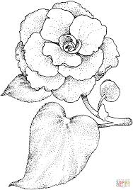 Pin On Greeting Cards