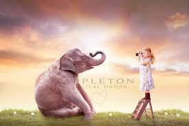 Elephant Smiling Digital Background Backdrop Carnival Circus Etsy In 2021 Digital Background Digital Backgrounds Digital