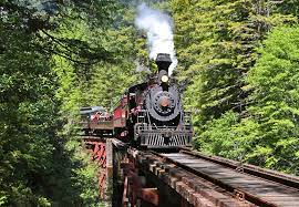 We did not find results for: California Western Railroad Skunk Train California