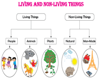 Scientists noted that certain living things possess features of both plants and. Living And Non Living Things Worksheets