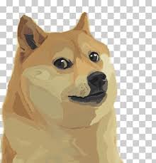 Follow yellow arrow to perform simple quests to level up grow taller at each birthday. Dogecoin Png Images Klipartz