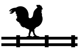 We'll spark an appetite in every lover of fried chicken, so catch us at one of our food trucks or visit our new location in the washington d.c. Rooster S Southern Kitchen Home Facebook