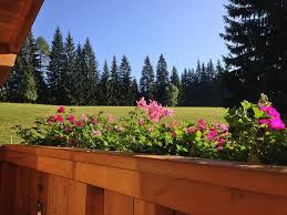 The adjustable deck rail brackets simply bolt to your existing window box brackets for an easy installation over a 2 x 4 or 2 x 6 wood railing. 65 Beautiful Flower Box Ideas Pictures Designing Idea