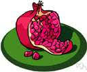 Gone to seed at english => english (moby thesaurus ii) of explained: Gone To Seed Definition Of Gone To Seed By The Free Dictionary