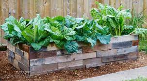 How tall should a raised garden box be. 6 Things To Think About Before Preparing A Raised Bed Garden