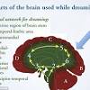 Women find intelligence attractive because it helps you hold a conversation. 1