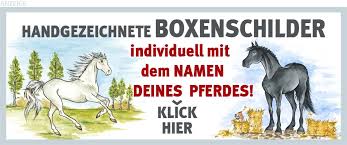 In diesem artikel stellen wir ihnen eine auswahl an schönen spanischen pferdenamen vor, bei der bestimmt auch etwas für sie dabei ist. Weibliche Pferdenamen Mit P Pferde World