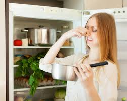 Thus, to avoid any health risk, you must make sure that the butter is fresh and not moldy before you consume it. Prevent Food From Mould Household Appliances Blog