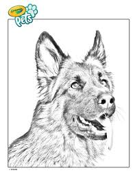 Whether you are a fan of coloring in or you just love anything to do with cats and cat pictures you will find something amongst it for either yourself, your friends or your family to enjoy. German Shepherd Pet Dog Coloring Page Crayola Com