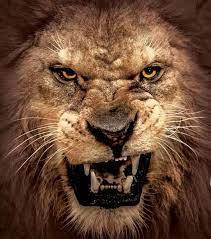 Peter Not Only Likened Satan To A Lion But He Said That He Is A Roaring Lion Seeking Whom He May Devour 1 Peter 5 8 The Lion Images Lion Pictures Lions
