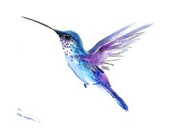 Hummingbird Art Hummingbird Painting Blue Purple Tropical Minimalist Bird Art Blue Turquoise Hummingbird Wall Painting Hummingbird Art Hummingbird Painting Hummingbird Tattoo Watercolor