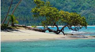 $1, $5, $10, $25 dominican peso banknotes available: How To Retire In The Dominican Republic Smartasset