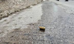Investiga Fiscalía asesinato de exdirigente de la Sección 22