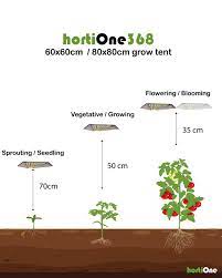 Maybe you would like to learn more about one of these? Replacement And The Right Distance Of Your Grow Light Hortione Com