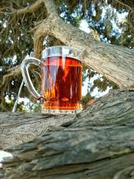 منتزه الحبلة glassware alcoholic drinks beautiful cats