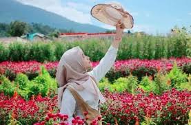 Ada berbagai varietas bunga matahari yang hadir dengan berbagai varian warna yang berbeda cocok menghias halaman rumah anda cek yuk produknya disini. Cantiknya Taman Bunga Shinta Cocok Dijadikan Pilihan Jelang Akhir Pekan Guideku Com