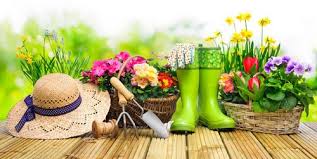 Ein großes sortiment für garten, balkon & terrasse! Pflanzen Online Kaufen Pflanzen Und Gartenversand Baldur Garten
