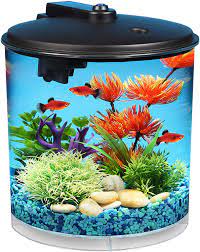 We did not find results for: Amazon Com Koller Products Aquaview 2 Gallon 360 Aquarium With Power Filter Led Lighting Topfin Fish Aquariums Pet Supplies