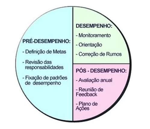 Gestão de Desempenho por Competência na Administração Pública